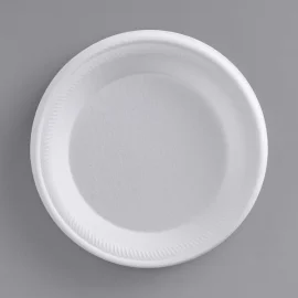 FOAM PLATE