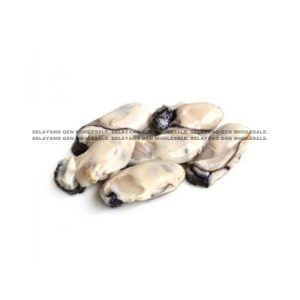 OYSTER Meat 1KG