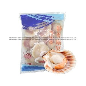 SCALLOP Half Shell 500G