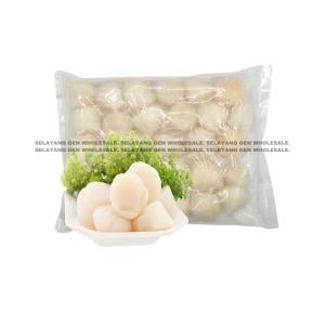 SCALLOP Meat