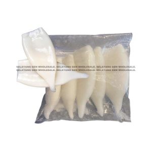 SOTONG Squid Tube 1KG